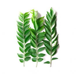 Kari Pata Gura (কারিপাতা গুড়া ) Curry Leaf Powder (100 Gram)