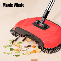 Magic whale