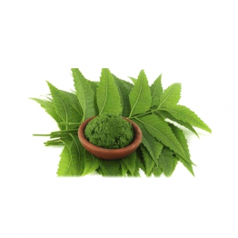 Neem Powder, নিম পাতা গুড়া, ১০০ গ্রাম