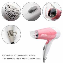 Parks Hair Dryer