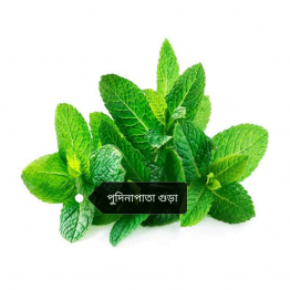 Pudina Pata Powder, Mint Leaf Powder, (পুদিনা পাতা গুড়া) 100 Gram