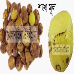 Songkho Mul (শংখ মূল) 100 Gram