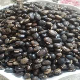 পাহাড়ি আলকুশি আস্ত বীজ, Alkushi Seeds, 250 Gram